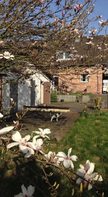 Ferienwohnung Mit Garten In Koeln Eksteriør billede